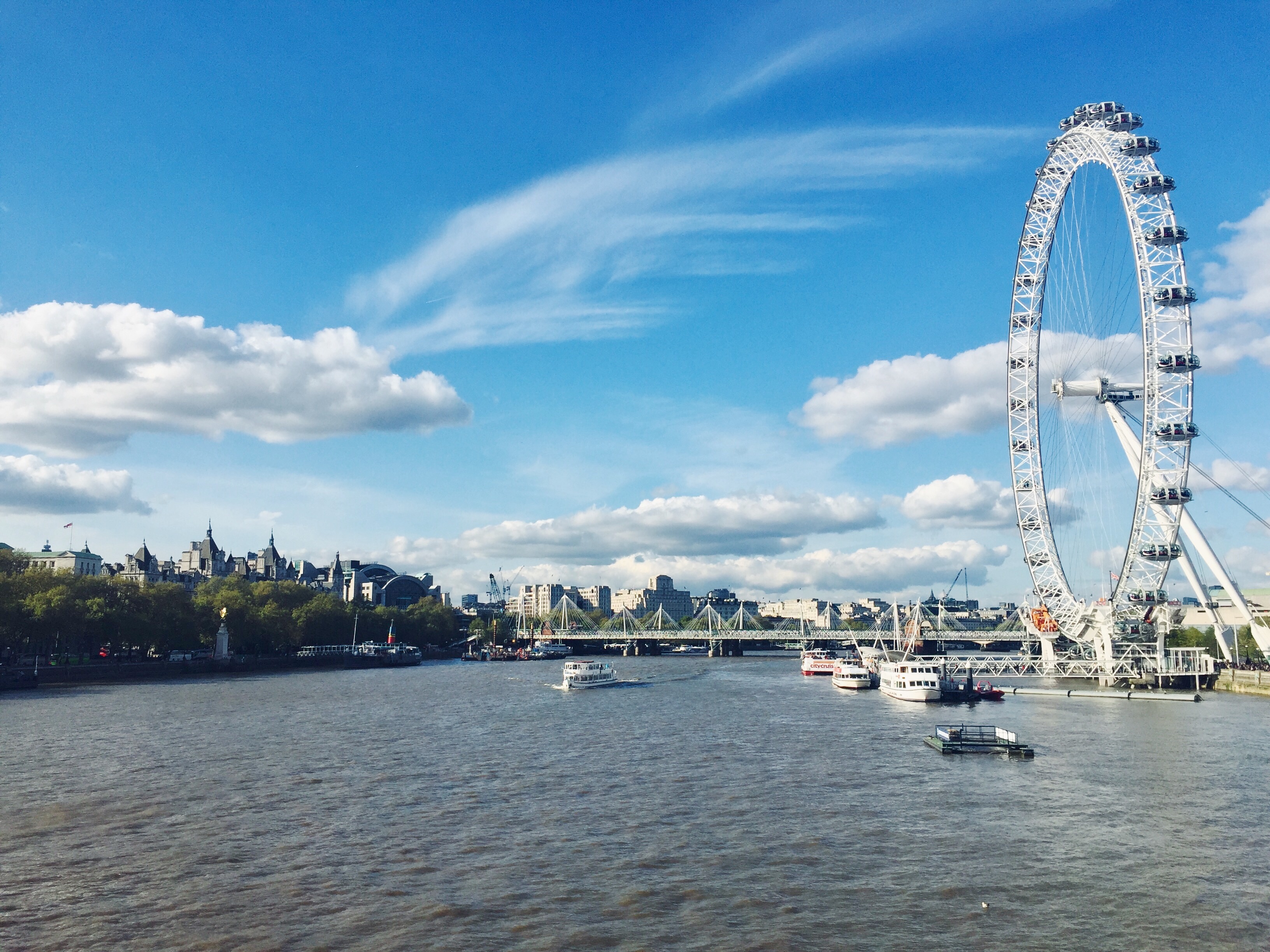 Thames Cruise and London Eye