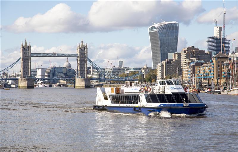 City cruises and Tower Bridge