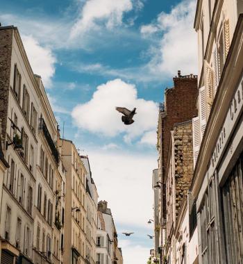 Tootbus Paris Insolite street