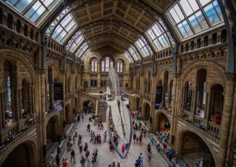 Musées à Londres avec des enfants