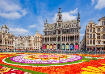 Bloementapijt 2024 in Brussel op de Grote Markt met Tootbus