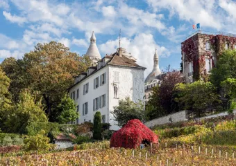 The Montmartre Grape Harvest Festival 2022