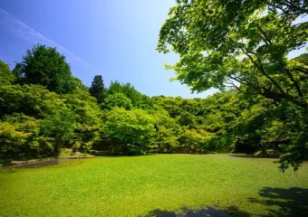 Top 20 Parks in London
