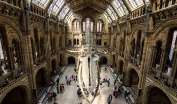 Journée internationale des musées à Londres : que faire ?