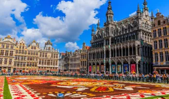 La Alfombra de Flores 2024 en la Grand-Place de Bruselas con Tootbus