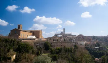 Visit Tuscany from Florence in 1, 2, 3 or 5 days !